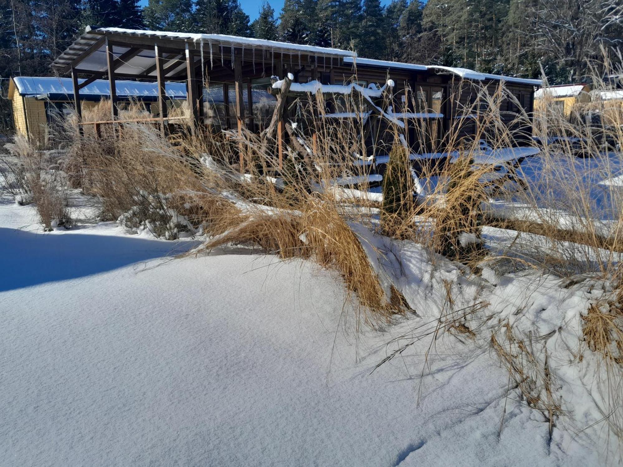 Hotel Siedlisko Pod Debem Wilimy Exterior foto